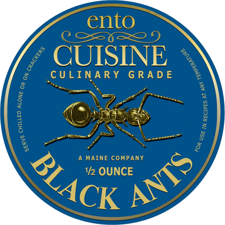 Culinary Quality Black Ants