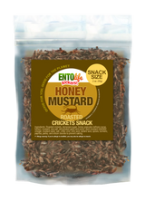 Honey Mustard Cricket Snack: 55 Gram Snack Size