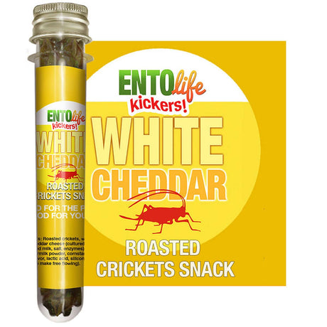 Mini-Kickers Flavored Cricket Snacks - White Cheddar